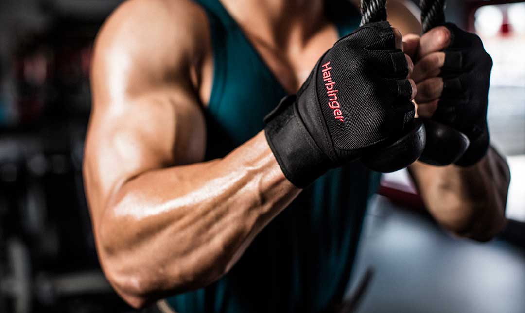 Harbinger Pro Wristwrap Gloves